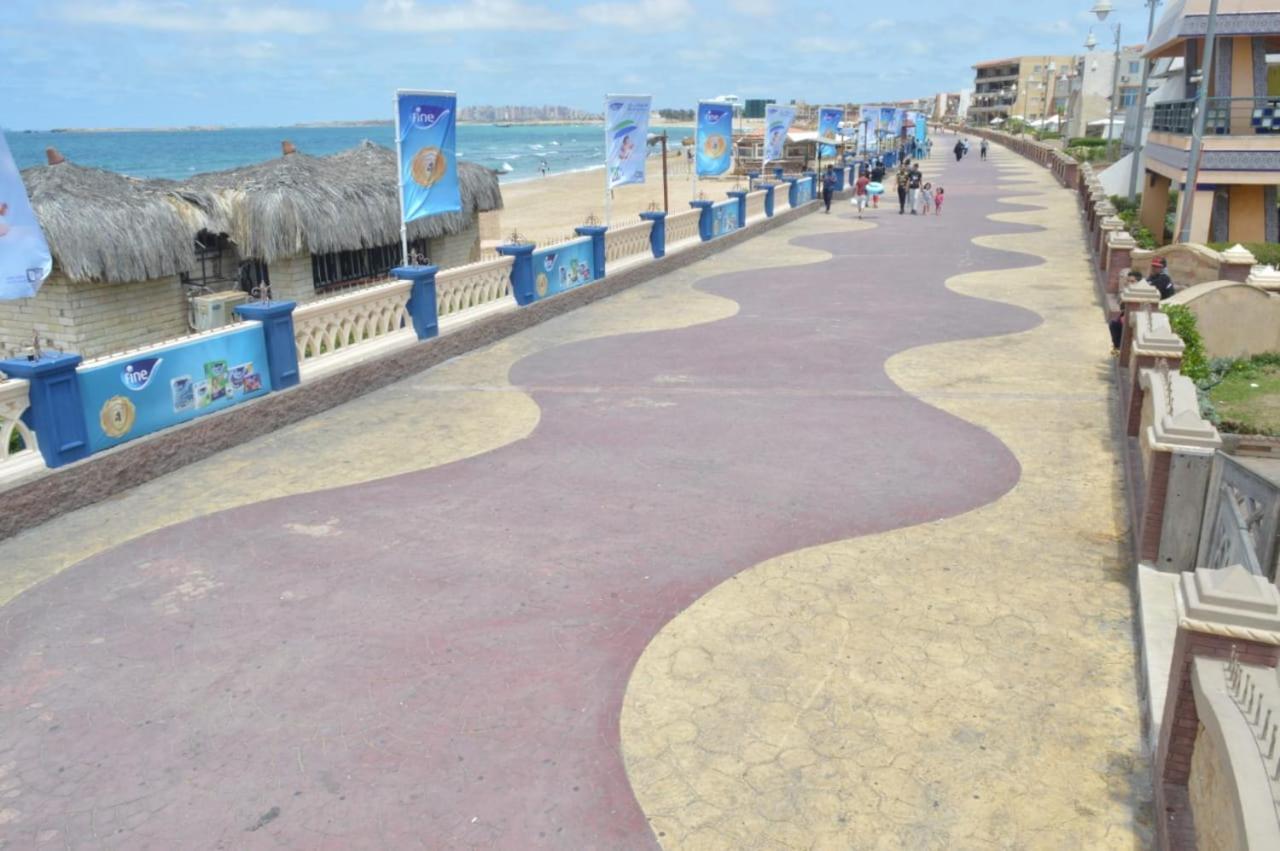 Maamoura 2