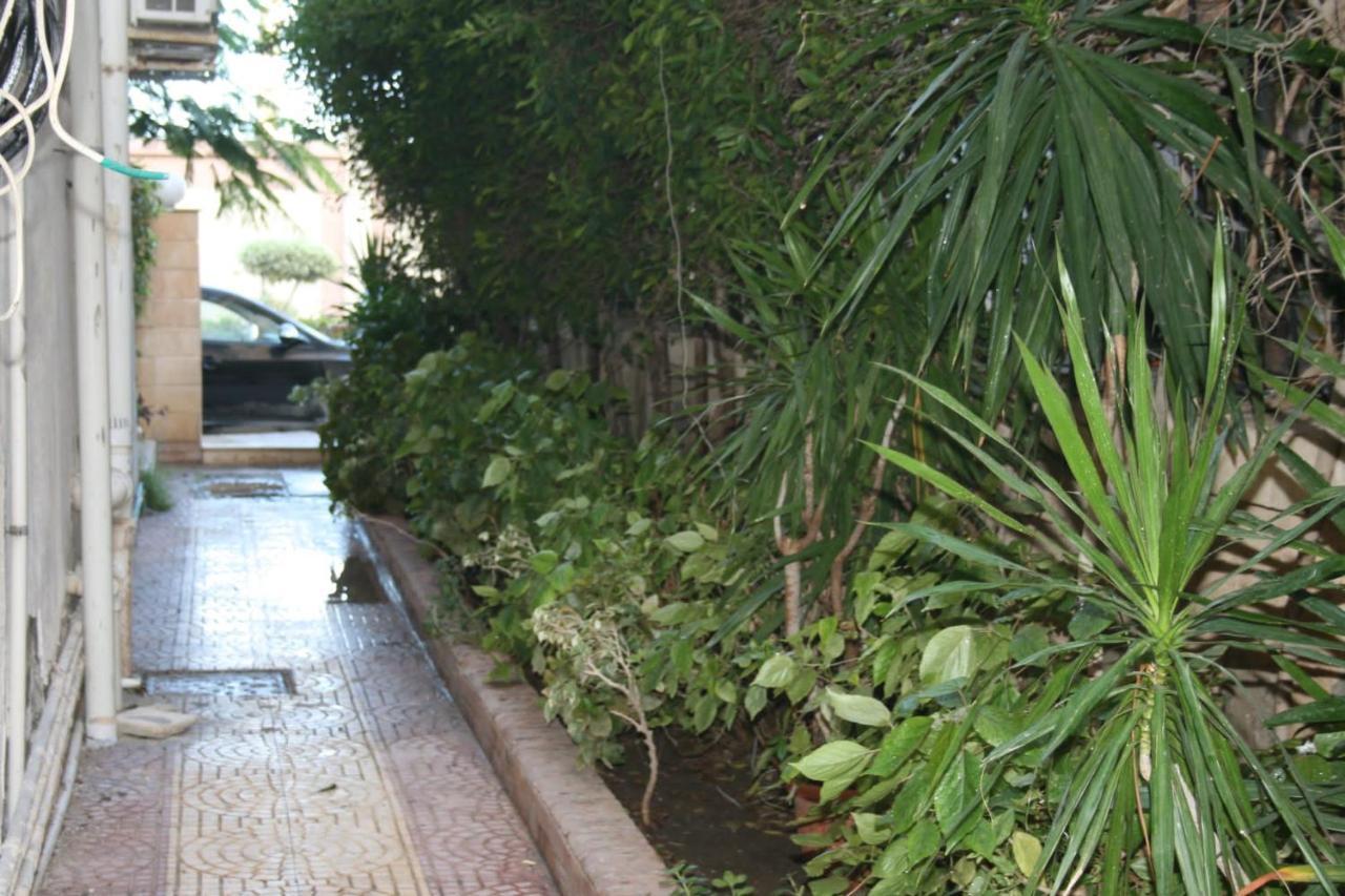 Maamoura 2 *